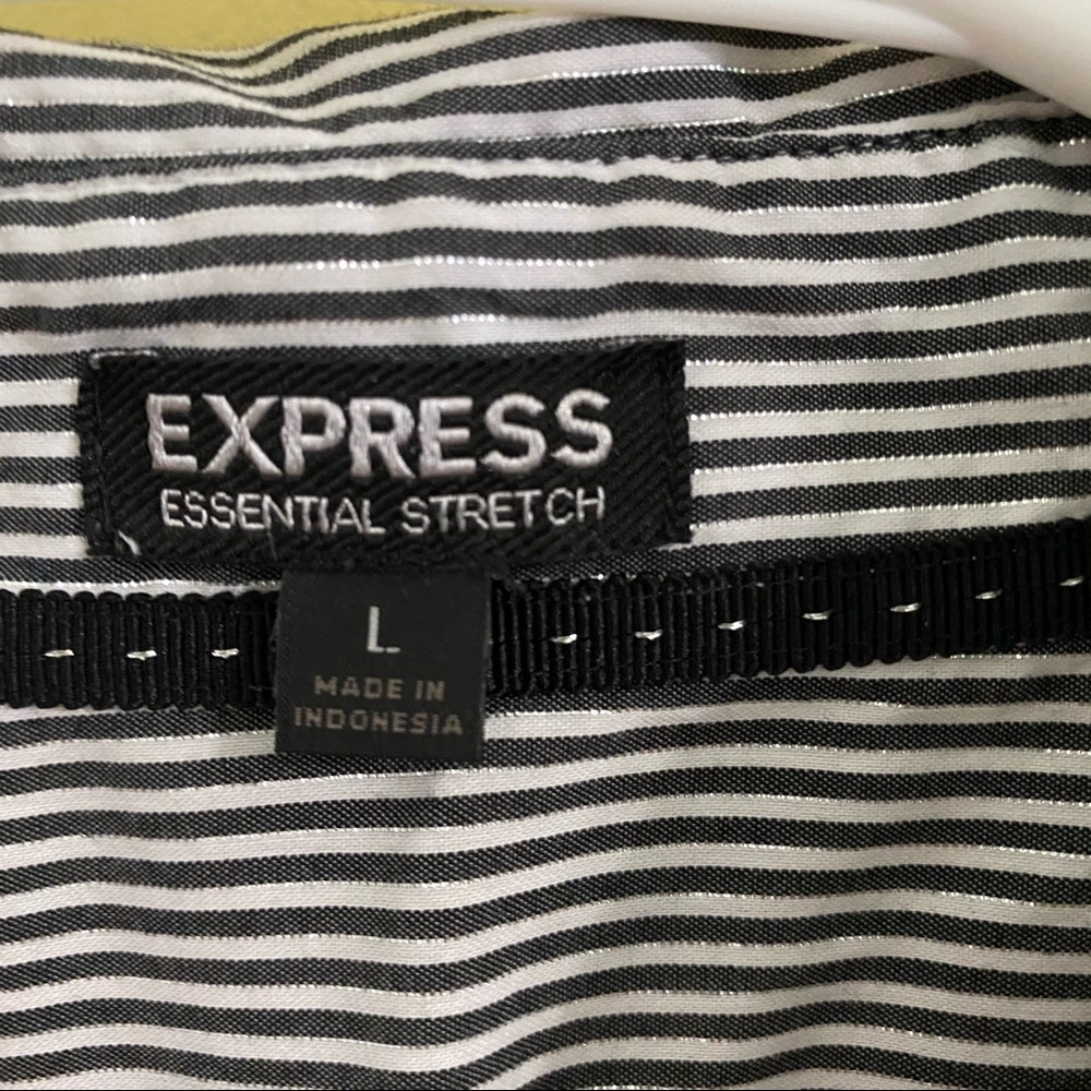 Euc Express Striped Button Down Size L - image 2